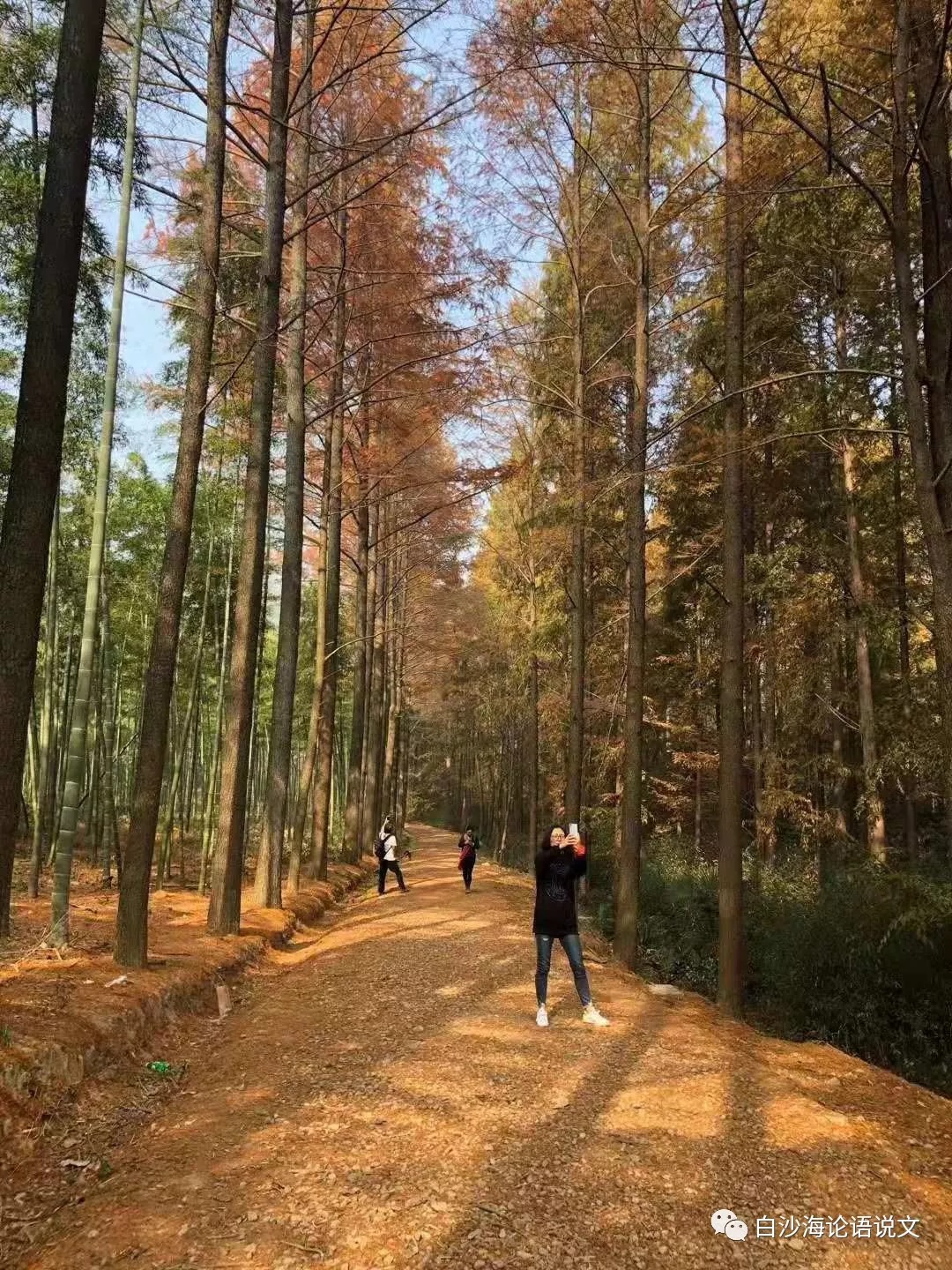 校园星河35：好人杭老师2.jpg