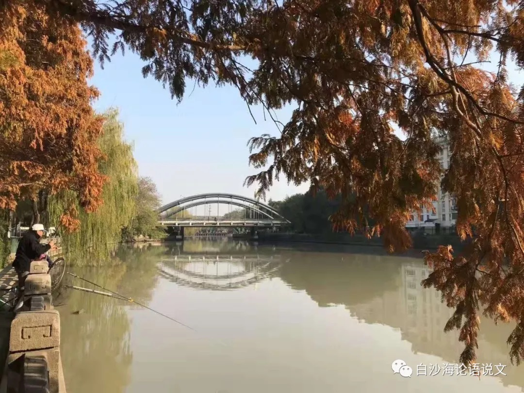 校园星河44：金大侠的小师妹王尔凝3.jpg
