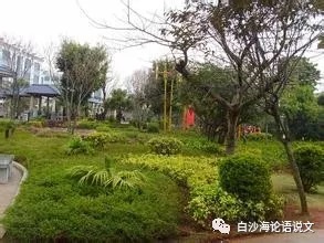 校园星河48：挽救.jpg