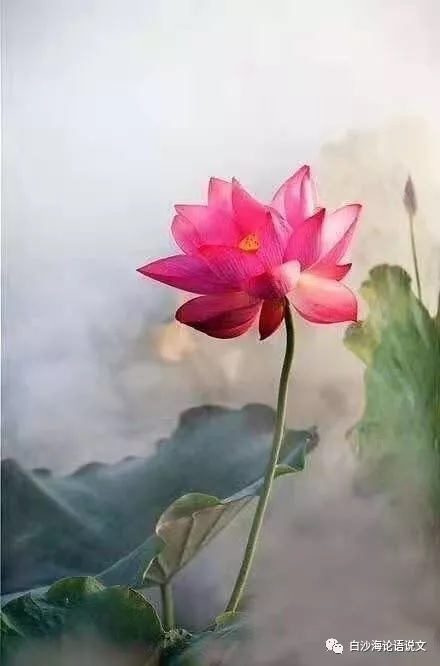 校园星河55：两次批评.jpg