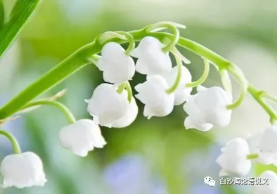 校园星河55：两次批评2.jpg