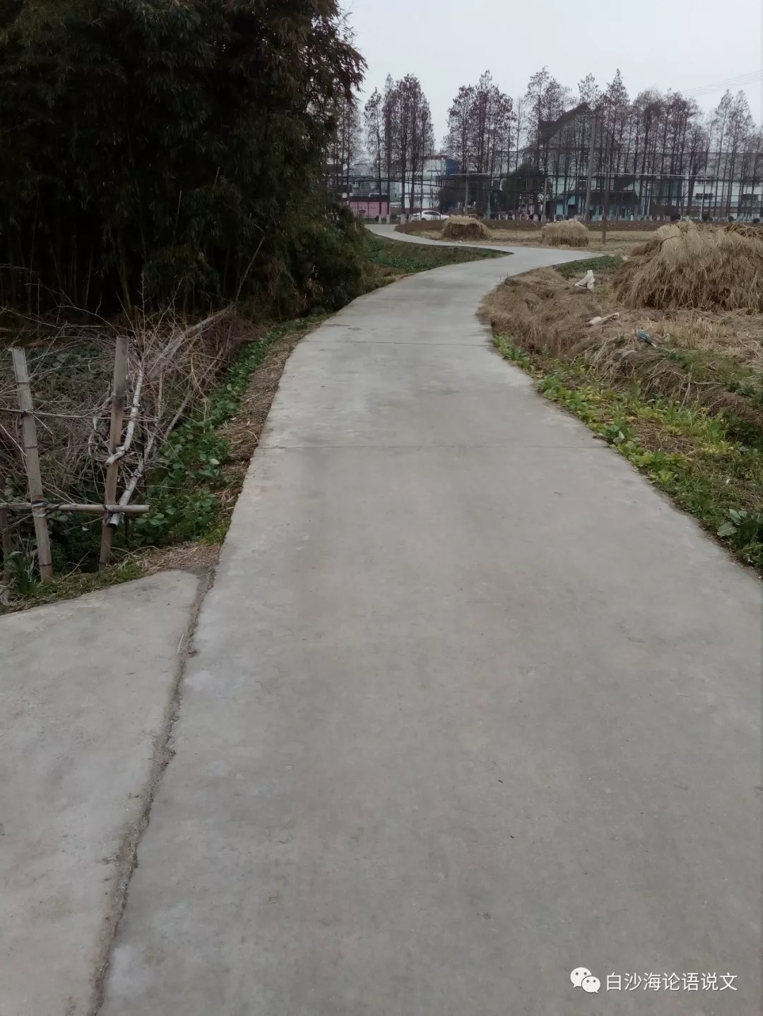 生活启示1：厅廊筑路.jpg
