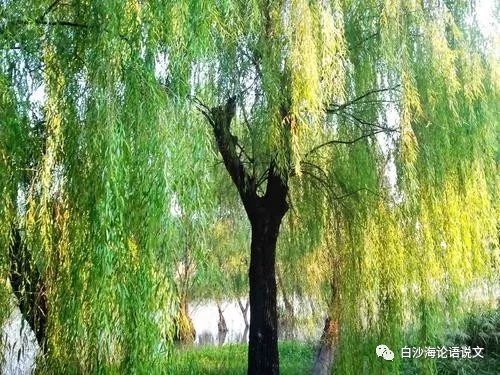 论语说文10：统编本六下这十首古诗词，上海印刷本搬到了五下.jpg