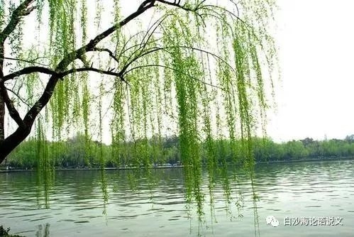 论语说文10：统编本六下这十首古诗词，上海印刷本搬到了五下b.jpg