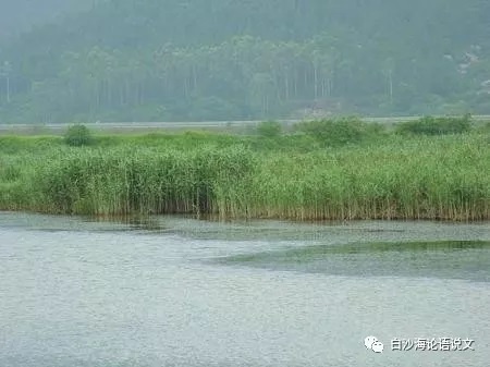 论语说文18： 八下《诗经》四首助背导练2.jpg