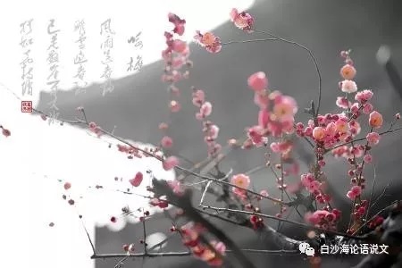 论语说文24：四下第一单元《卜算子·咏梅》助背导练3.jpg