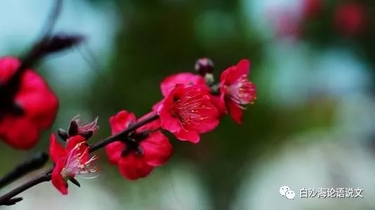 论语说文27：七下《课外古诗诵读》（一）助背导练6.jpg