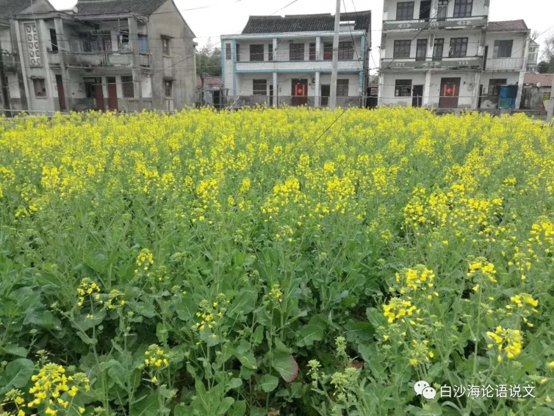 助背导练37：七下：用押韵对偶法读背刘禹锡铭文《陋室铭》4.jpg
