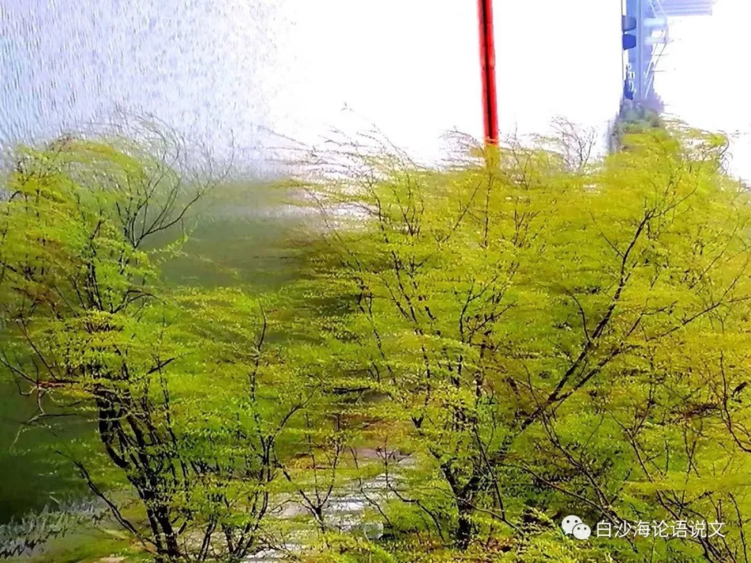 校园星河60：海平说：“我就特别爱上语文”.jpg