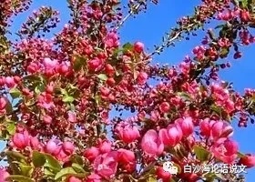 校园星河68：一群都有美丽名字的学生.jpg