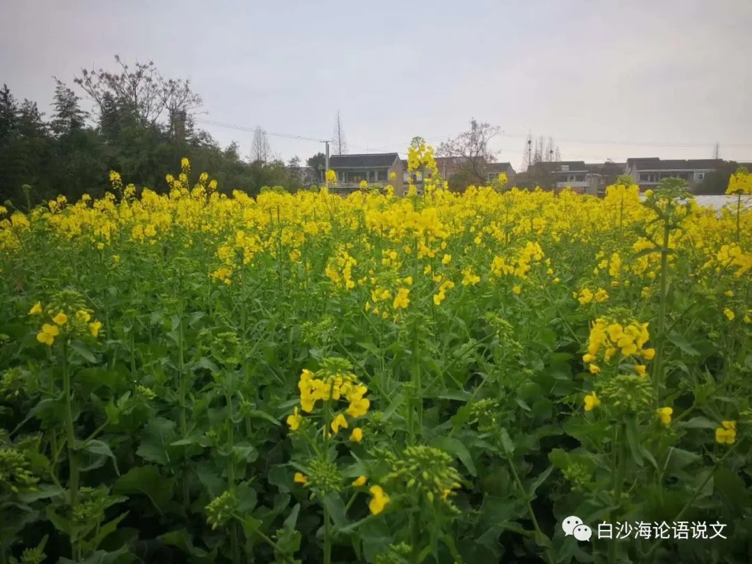 中考佳作速成： 提纲挈领法2.jpg